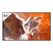 Sony BZ30P Digital Signage Flachbildschirm 165,1 cm (65") LED WLAN 400 cd/m² 4K Ultra HD Schwarz Android 24/7