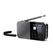 Sharp DR-P520 Persönlich Digital Grau