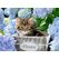 Ravensburger 00.012.894 300 Stück(e) Tiere