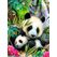 Ravensburger Lieber Panda
