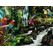 Ravensburger Bunte Papageien im Dschungel