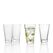 LEONARDO 12674 Transparent 6 Stück(e) 300 ml