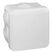 Legrand 092013 Elektrische Anschlussbox