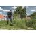 AL-KO BC 500 B 25,5 cm 1900 W Benzin