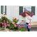 Birchmeier Garden Star 3 Kompressionsgartenspritzer 3 l