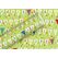 Braun + Company Geschenkpapier 1,5mx70cm, By Nature Wimpel zartgrün