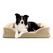 Lumaland 16595 Hunde-/Katzenbett Nest-Haustierbett, Farbe: Beige