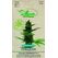 Samen Mauser 20836604 Kräutersamen ein- und mehrjährig Cannabis-Samen