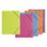 Pagna 21638-01 Sammelmappe Polypropylen (PP) Schwarz A3