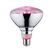 Paulmann Leuchtmittel LED PLANT E27 PAR38 1x LED E27 6.5W 200lm 1300K, Nicht Dimmbar