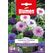 Blumen Kornblume Mix Blumensamen ein- und mehrjährig