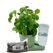 Greevi 300072 Blumentopf Grün Kunststoff 1 Stück(e)