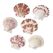 HobbyFun Sea shell II