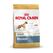 Royal Canin Boxer Adult 12 kg