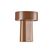 Zone Denmark Oblong Lamp Tischleuchte 5 W SMD LED Ahornfarbe, Farbe: Ahornfarbe, Länge: 1,2 m