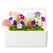 Click & Grow Petunia Refill (3-pack) 3 Stück(e) Petunie Nachfüllen