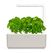 Click & Grow THE SMART GARDEN 3 Garten Beige