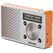 TechniSat DigitRadio 1 Tragbar Digital Orange, Silber