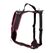 Grossenbacher Vary XS Bordeaux Hund Zuggeschirr