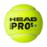 HEAD 540303 Tennisball Druckloser Tennisball 72 Stück(e)