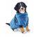 SwissPet 547782 Kleidung für Hunde & Katzen S Blau Hund Bademantel