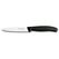 Victorinox Swiss Classic Gemüsemesser 10cm Mittelspitz