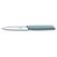 Victorinox Gemüsemesser 10cm Arona Wellen Schliff