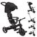 Globber Explorer Tike 4in1 Dreirad Kinder Frontantrieb Senkrecht, Farbe: Schwarz