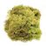 GLOREX 63803605