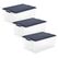 Rotho 6672306250WS Aufbewahrungsbox Rechteckig Polypropylen (PP) Blau, Transparent