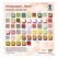 URSUS 71800099 Kunstdruckpapier Kunstpapier 50 Blätter