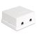 DeLOCK 86207 Drahtverbinder 2x Keystone Weiß