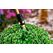 GLORIA 729157.0000 Gartensprüher-Zubehör Sprühstab