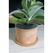 Colibri 7800.926 Rasenkante Garten-Einfassungsrolle Holz