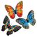 CRAFT Buddy CADST-31GEN007 Kunst-/Bastelspielzeug
