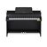 Casio GP-310BK Digitales Piano 88 Schlüssel Schwarz, Farbe: Schwarz