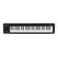 Korg microKEY2 Air-49 MIDI-Tastatur 49 Schlüssel USB/Bluetooth Schwarz