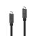 PureLink PI6500-040 USB Kabel USB 3.2 Gen 1 (3.1 Gen 1) 4 m USB C 10 Gbit/s 100 W Schwarz