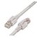 Wirewin PKL-PIMF-KAT6A Netzwerkkabel Grau 5 m Cat6a S/FTP (S-STP) Rund, Farbe: Grau, Länge: 5 m