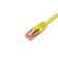 Wirewin PKW-UTP-KAT6 20.0 GE Netzwerkkabel Gelb 20 m Cat6 U/UTP (UTP)