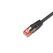 Wirewin PKW-UTP-KAT6 25.0 SW Netzwerkkabel Schwarz 25 m Cat6 U/UTP (UTP)