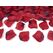 PartyDeco PLRD500-007B partydekorationen Dekoration