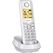 Gigaset Pure 300 Analoges/DECT-Telefon Anrufer-Identifikation Weiß, Farbe: Weiß