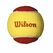 Wilson Starter Red 12 Stück(e)