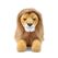 Aurora Borealis Kabelo Lion
