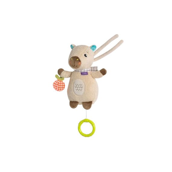 Fehn Mini-Spieluhr Capybara Capybara Clara