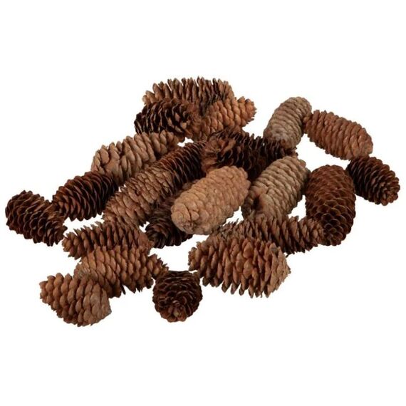 Dekomat AG Dekomat Tannenzapfen 200g, echt ca. 7-10 cm, braun