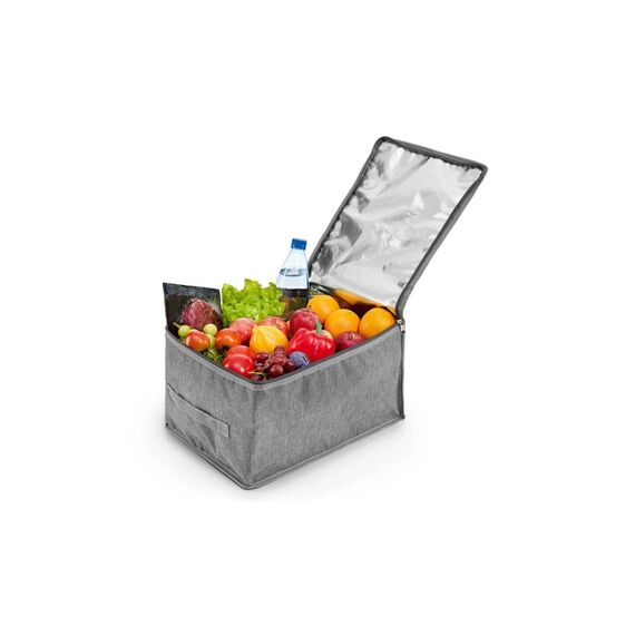 EASYmaxx Kühltasche 21l grau