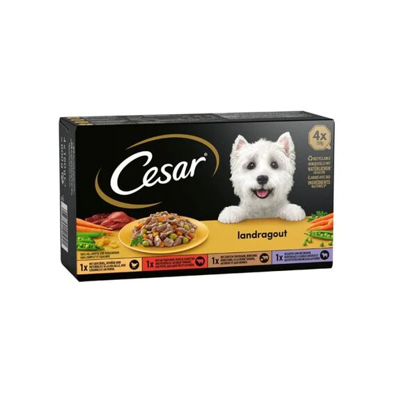 Cesar Landküche Vielfalt Sauce 4x150g