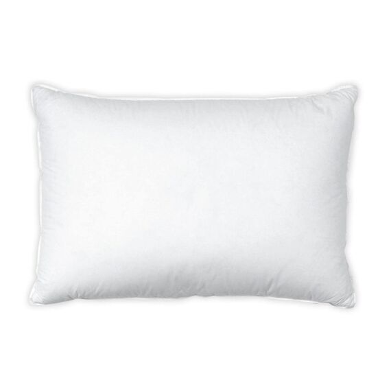 Interio Bio-Hirsekissen COMFORT PURE 40x60cm, BIO Goldhirse, mit Hülle